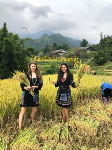 ChienDe Homestay ChienDe Homestay