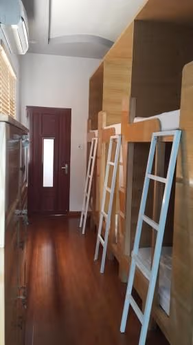 Bed in 8-Bed Mixed Dormitory Room