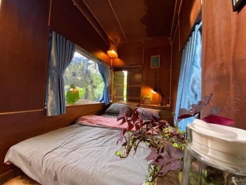 King Room with Garden View