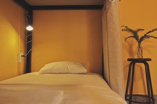 Bed in 4-Bed Female Dormitory Room
