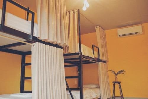 Bed in 4-Bed Female Dormitory Room