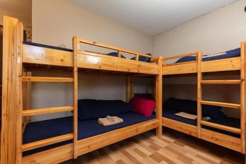 Bunk Bed in Mixed Dormitory Room