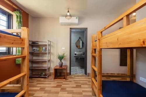 Bunk Bed in Mixed Dormitory Room