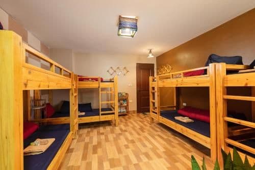 Bunk Bed in Mixed Dormitory Room