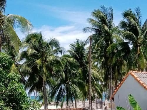 Deluxe Double Room with Terrace - Top Floor