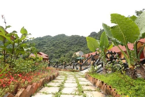 Family Bungalow