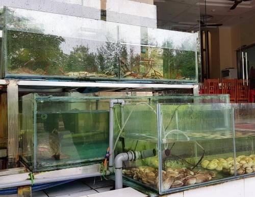 โรงแรมลาง ชาย (Lang Chai hotel)4