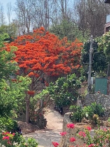 Bella Vista Vung Tau4
