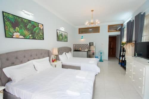 Superior Apartment