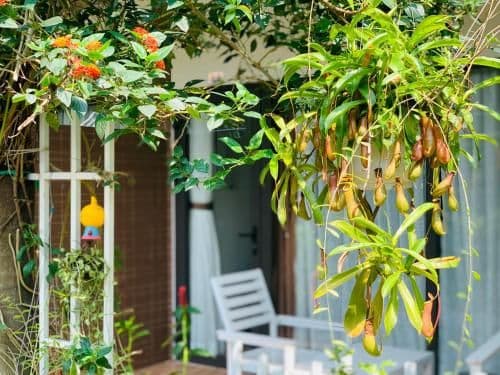 Double Room with Garden View