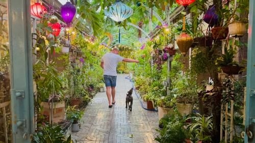 คานารี บังกะโล (Canary Bungalow)4