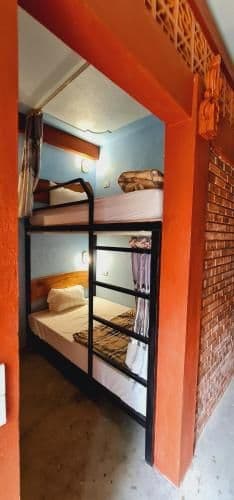 Bunk Bed in Mixed Dormitory Room