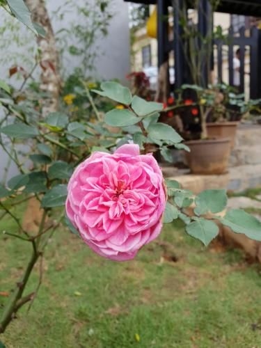 Sapa Charming Homestay3