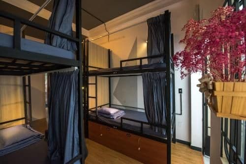 Bed in 8-Bed Mixed Dormitory Room