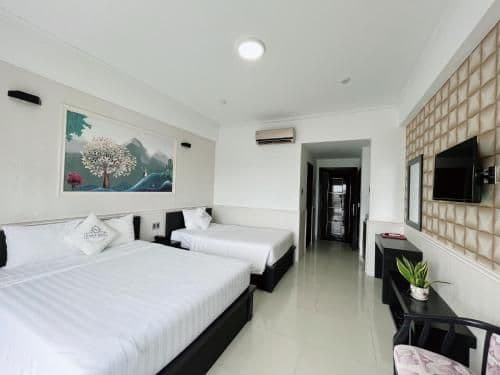 Deluxe Double or Twin Room with City View