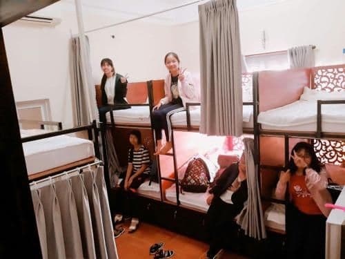 Bunk Bed in Mixed Dormitory Room