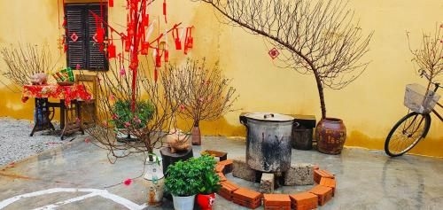 Trầm Homestay (Tram Homestay)0