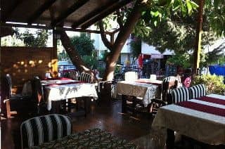 Green Palm Hotel Green Palm Hotel