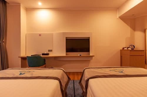 Superior Double or Twin Room