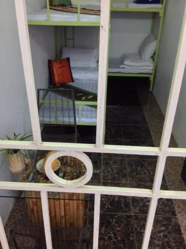Bunk Bed in Mixed Dormitory Room