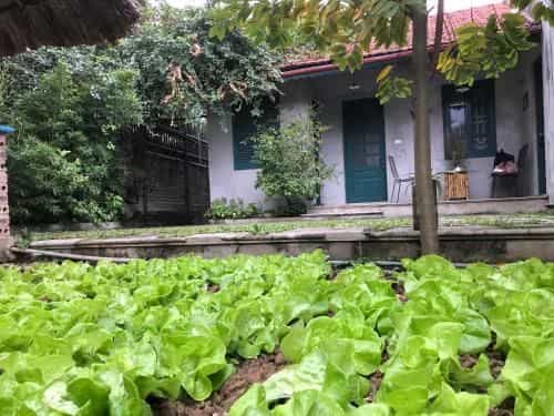 Tam Coc Eco House Tam Coc Eco House