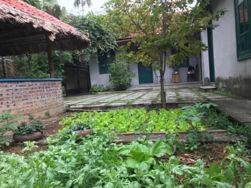 Tam Coc Eco House Tam Coc Eco House