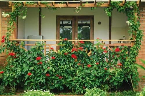 Two-Bedroom Bungalow