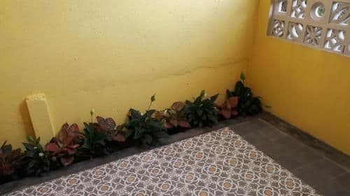 Twin Room with Terrace