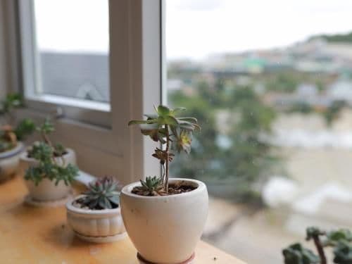 Quadruple Room with Mountain View