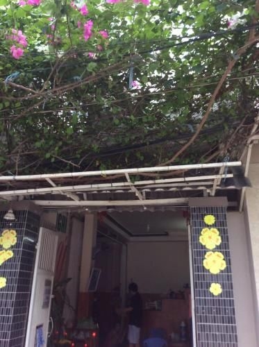 Nhu Y Guesthouse0