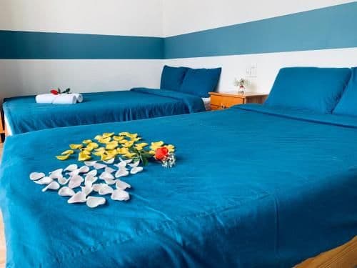 Double or Twin Room with Balcony