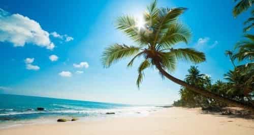 Tai Phong Tien Phu Quoc Hotel Tai Phong Tien Phu Quoc Hotel