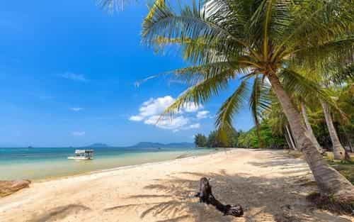 Tai Phong Tien Phu Quoc Hotel Tai Phong Tien Phu Quoc Hotel