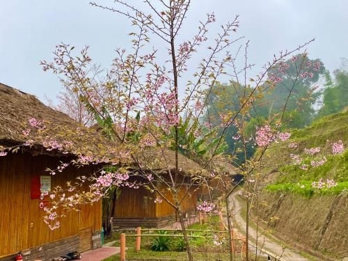Hoàng Su Phì Bungalow (Hoang Su Phi Bungalow)4