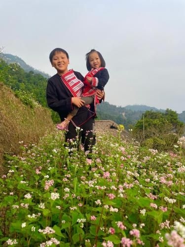 Hoàng Su Phì Bungalow (Hoang Su Phi Bungalow)3