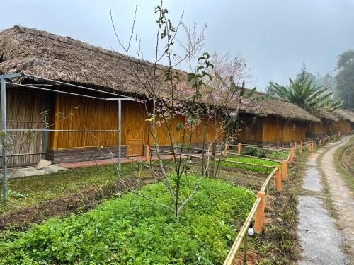 Hoàng Su Phì Bungalow (Hoang Su Phi Bungalow)1