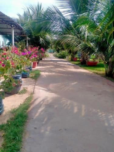 Bungalow - Beach Front