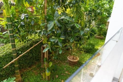 ชีทัญวิลลา (Chi Thanh Villa)1