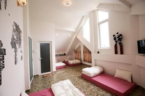 Bunk Bed in Mixed Dormitory Room
