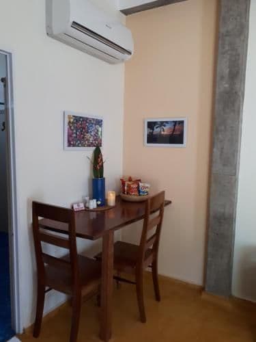 Studio with Garden View