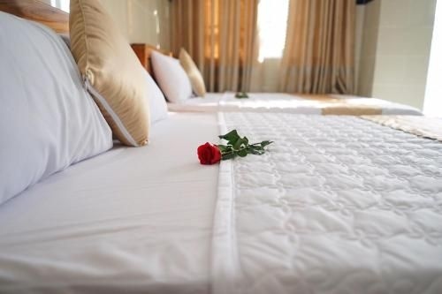 Hotel Hoai Anh0