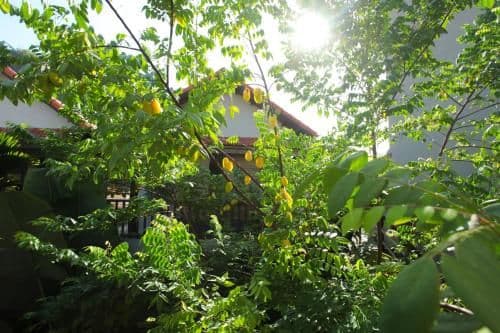 Superior Double or Twin Room with Mountain View