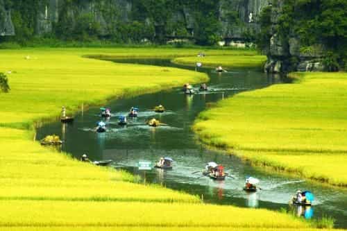 Ninh Binh Brother's Homestay Ninh Binh Brother's Homestay