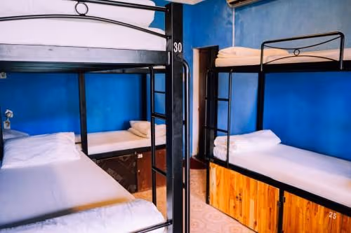 Single Bed in Dormitory Room