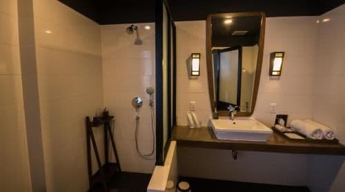 Deluxe Double or Twin Room with City View