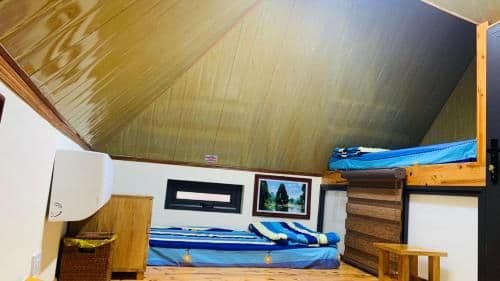 Single Bed in Mixed Dormitory Room