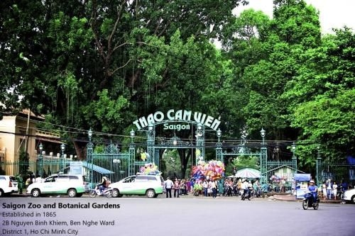HoLo Fairy House Saigon - Serviced Homestay2