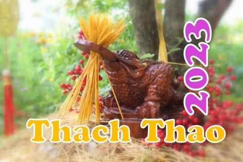 Thach Thao homestay0