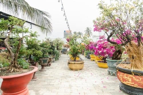 Double Room with Garden View