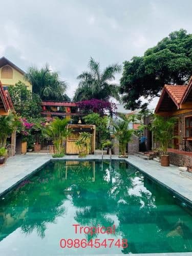 Tam Coc Tropical Homestay Tam Coc Tropical Homestay